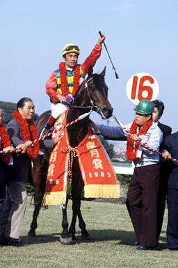 ミホシンザン 戦績: 中央競馬の名馬たち一覧